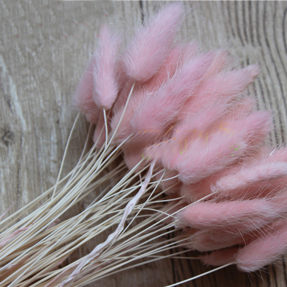 50pcs dried natural flower bou - Dried Flower Bunch のレビューと価格