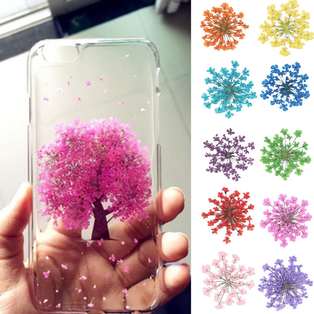 100Pcs Natural Plant Dried Flo - Dried Flower Bunch のレビューと価格
