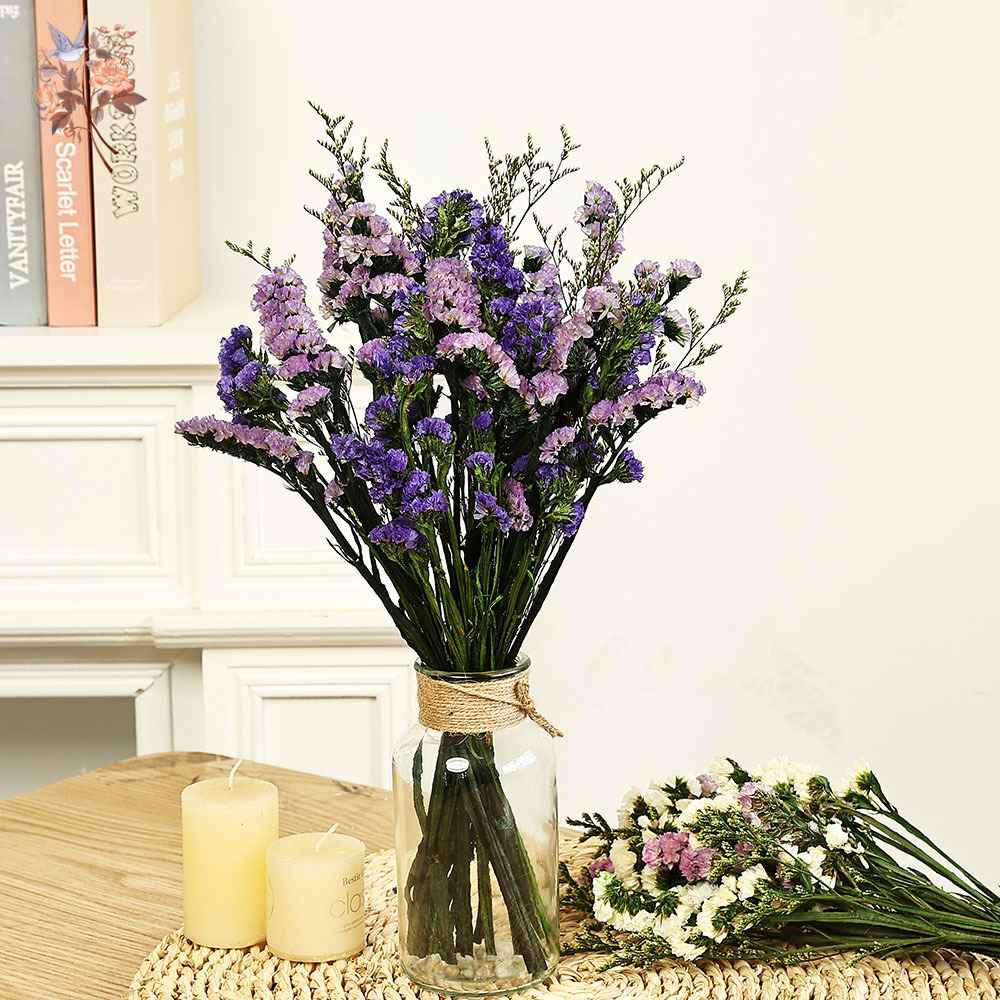 100g Natural Real Forget-me-no - Dried Flower Bunch のレビューと価格