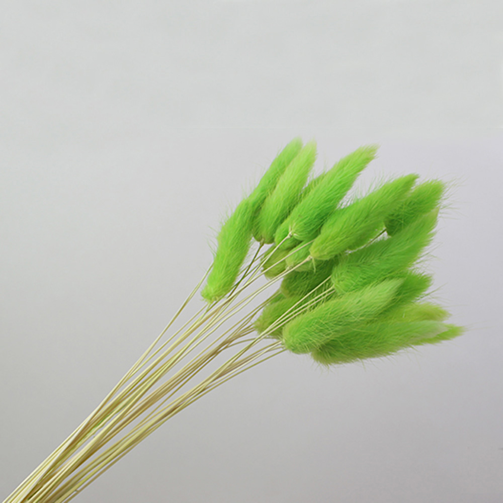 50pcs dried natural flower bou - Dried Flower Bunch のレビューと価格