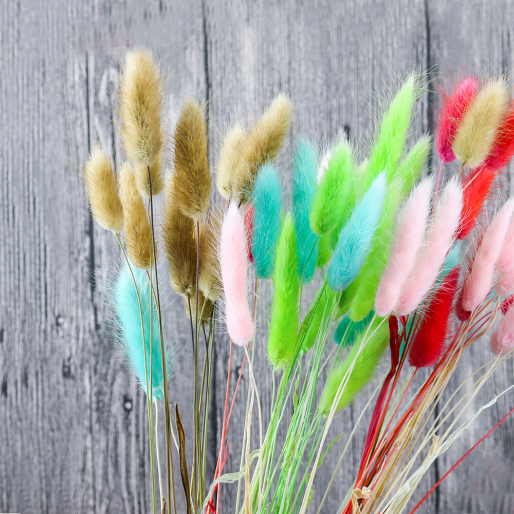 50pcs dried natural flower bou - Dried Flower Bunch のレビューと価格