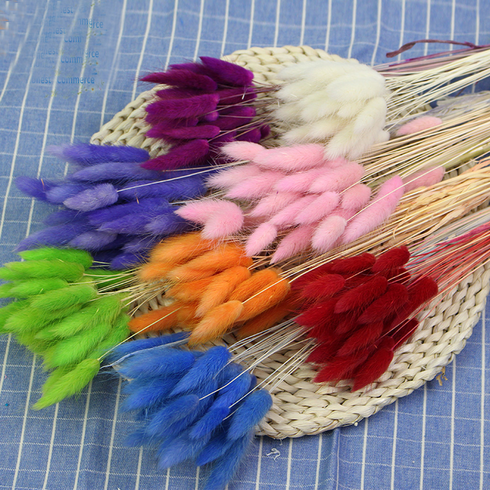 50pcs dried natural flower bou - Dried Flower Bunch のレビューと価格
