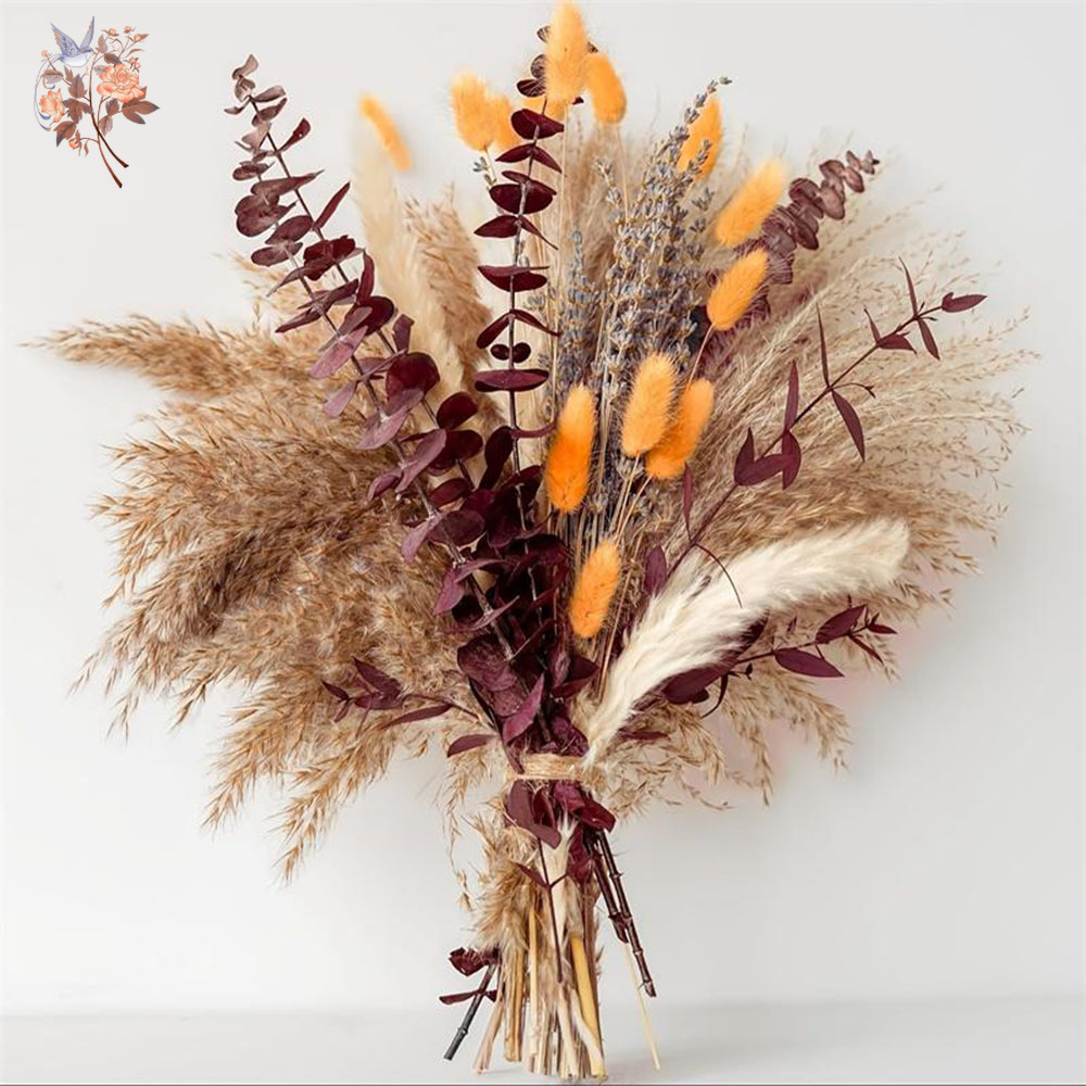75PCS Dried Pampas Eucalyptus  - Dried Flower Bunch のレビューと価格