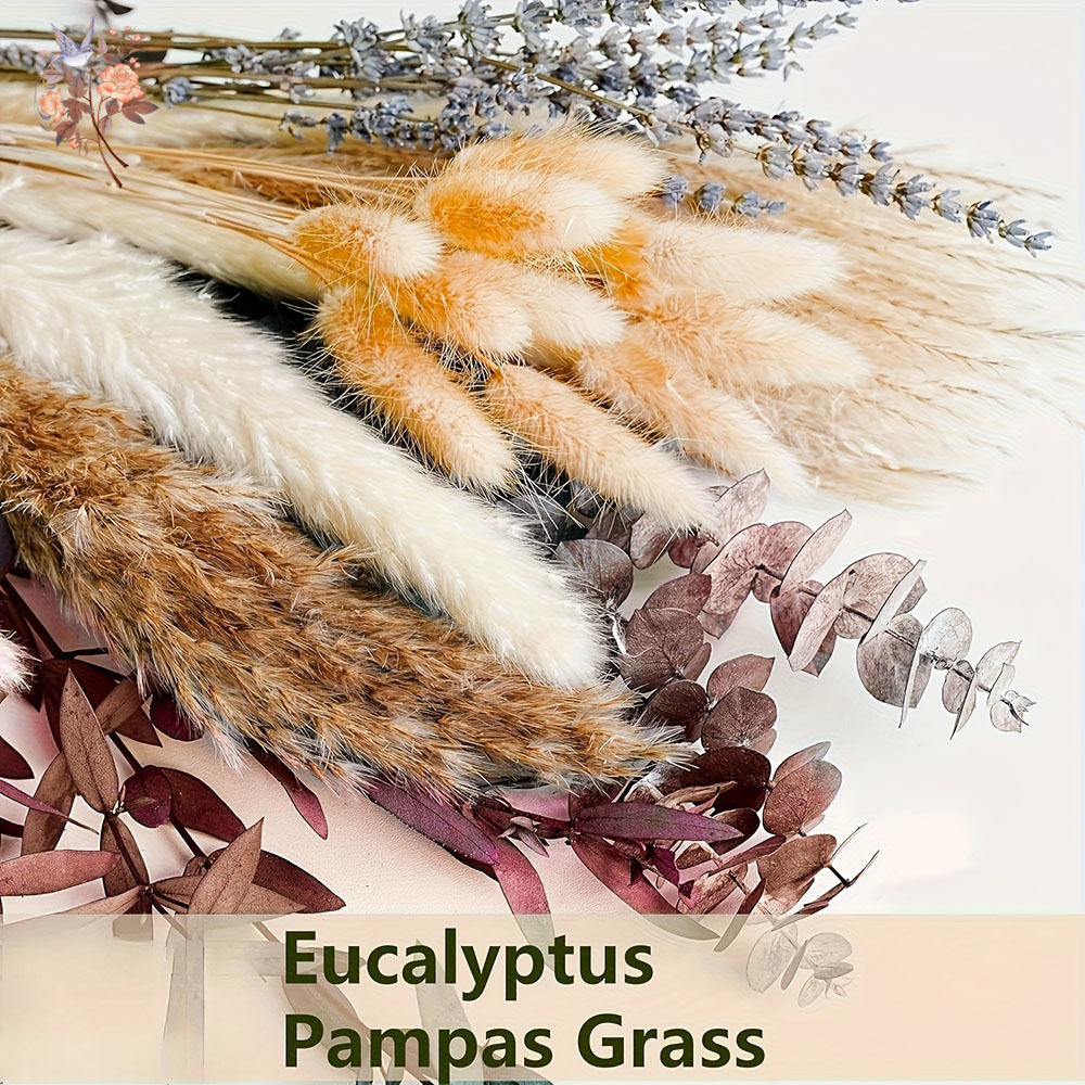75PCS Dried Pampas Eucalyptus  - Dried Flower Bunch のレビューと価格