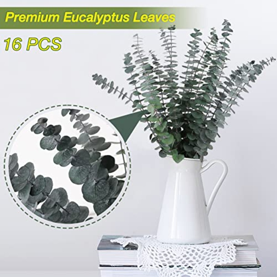 16 Pcs Preserved-Dried-Eucalyp - Dried Flower Bunch のレビューと価格