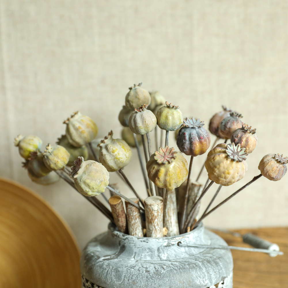 6Heads Poppies Fruit Dried Flo - Dried Flower Bunch のレビューと価格