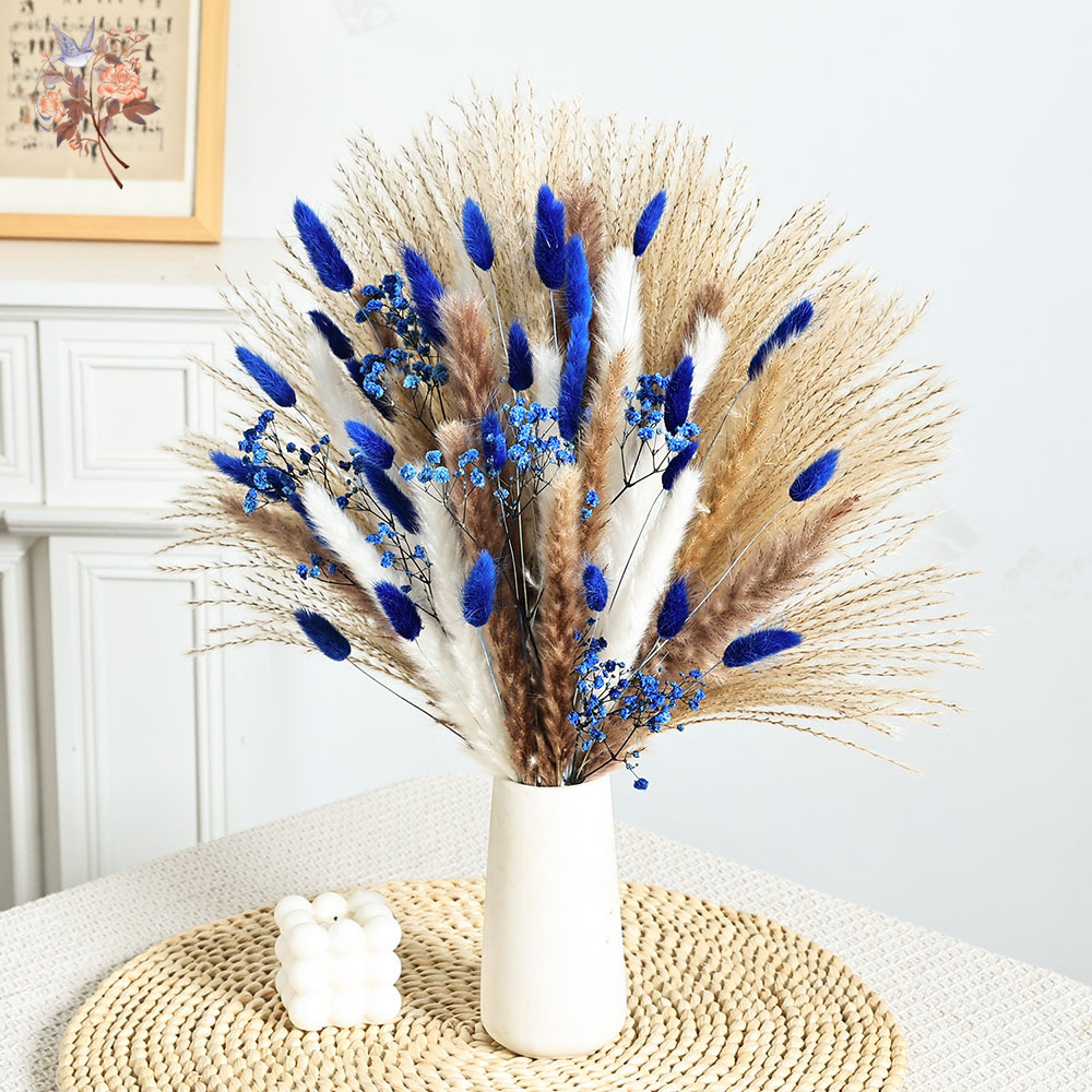 70 Stem Blue Fluffly Rabbit Ta - Dried Flower Bunch のレビューと価格