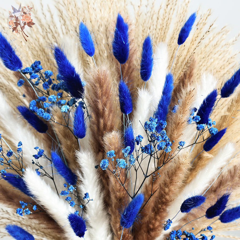 70 Stem Blue Fluffly Rabbit Ta - Dried Flower Bunch のレビューと価格