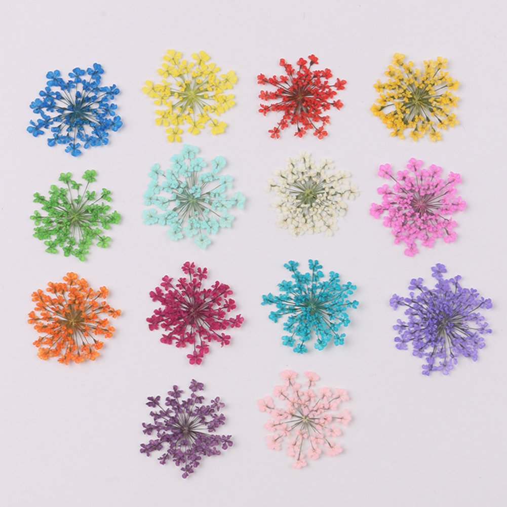 100Pcs Natural Plant Dried Flo - Dried Flower Bunch のレビューと価格