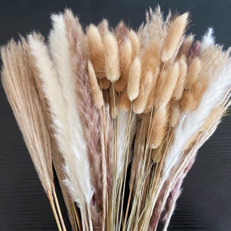 Bulk 100PCS Dried Pampas Grass - Dried Flower Bunch のレビューと価格