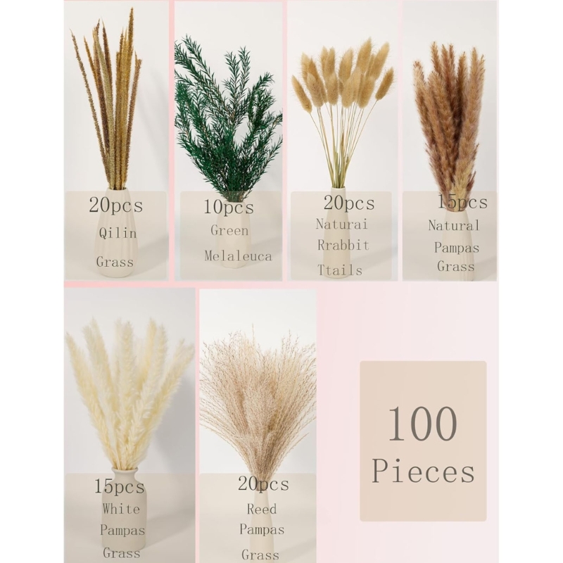Bulk 100PCS Dried Pampas Grass - Dried Flower Bunch のレビューと価格