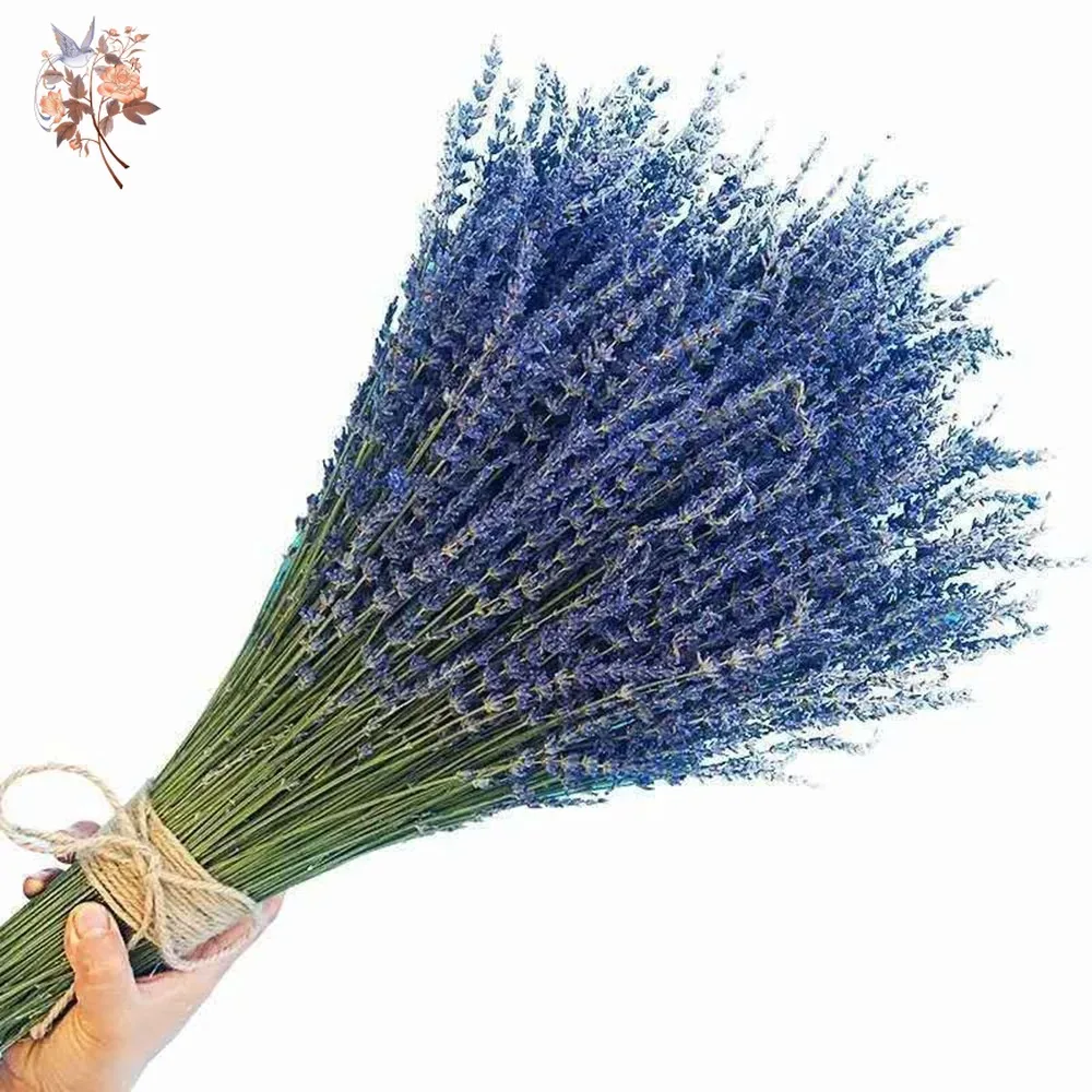 50g Natural Dried Lavender Bou - Dried Flower Bunch のレビューと価格