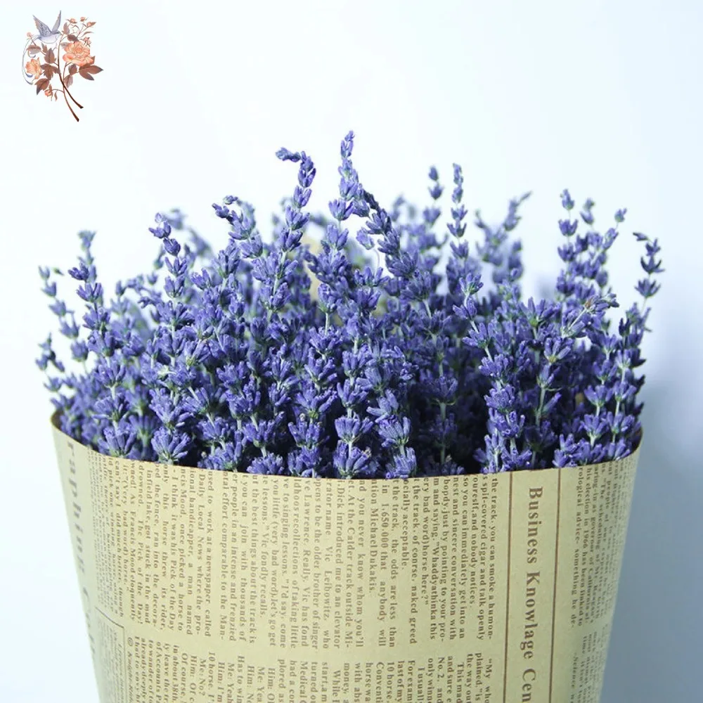 50g Natural Dried Lavender Bou - Dried Flower Bunch のレビューと価格