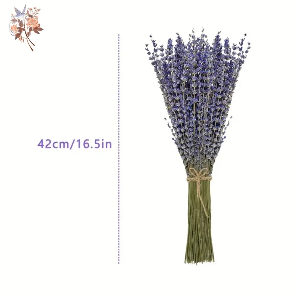 50g Natural Dried Lavender Bou - Dried Flower Bunch のレビューと価格