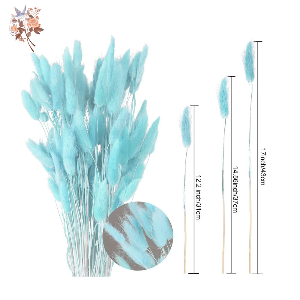 100Pcs Natural Rabbit Tails Gr - Dried Flower Bunch のレビューと価格