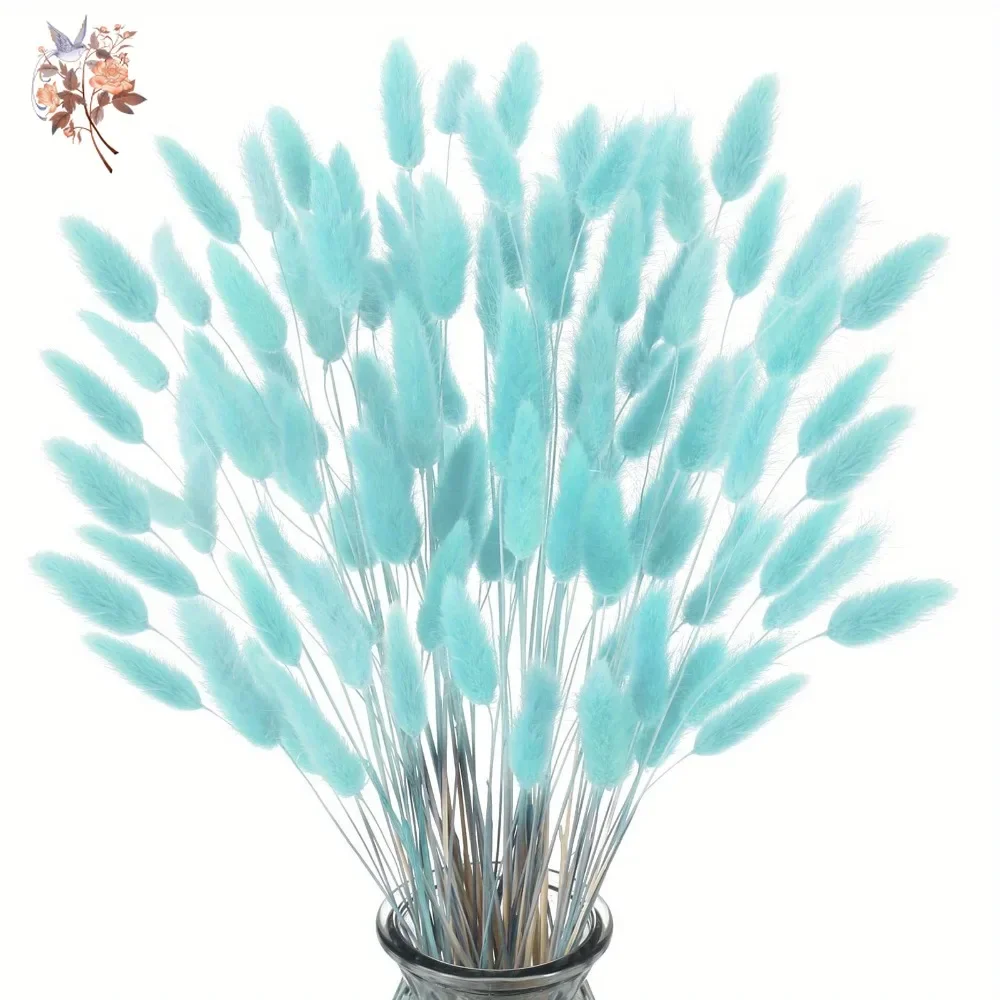 100Pcs Natural Rabbit Tails Gr - Dried Flower Bunch のレビューと価格