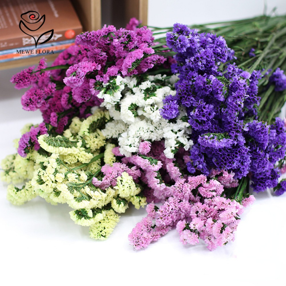 100g Dried Forget Me Not Flowe - Dried Flower Bunch のレビューと価格