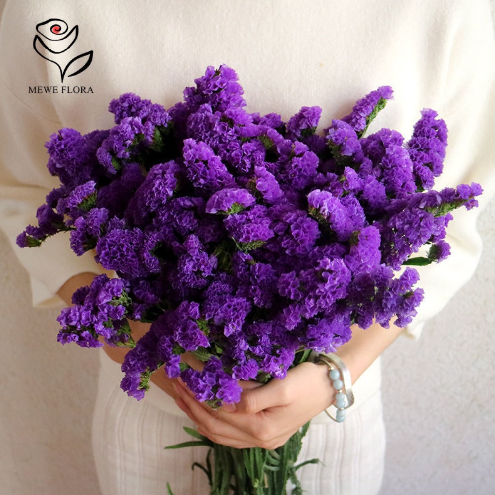 100g Dried Forget Me Not Flowe - Dried Flower Bunch のレビューと価格