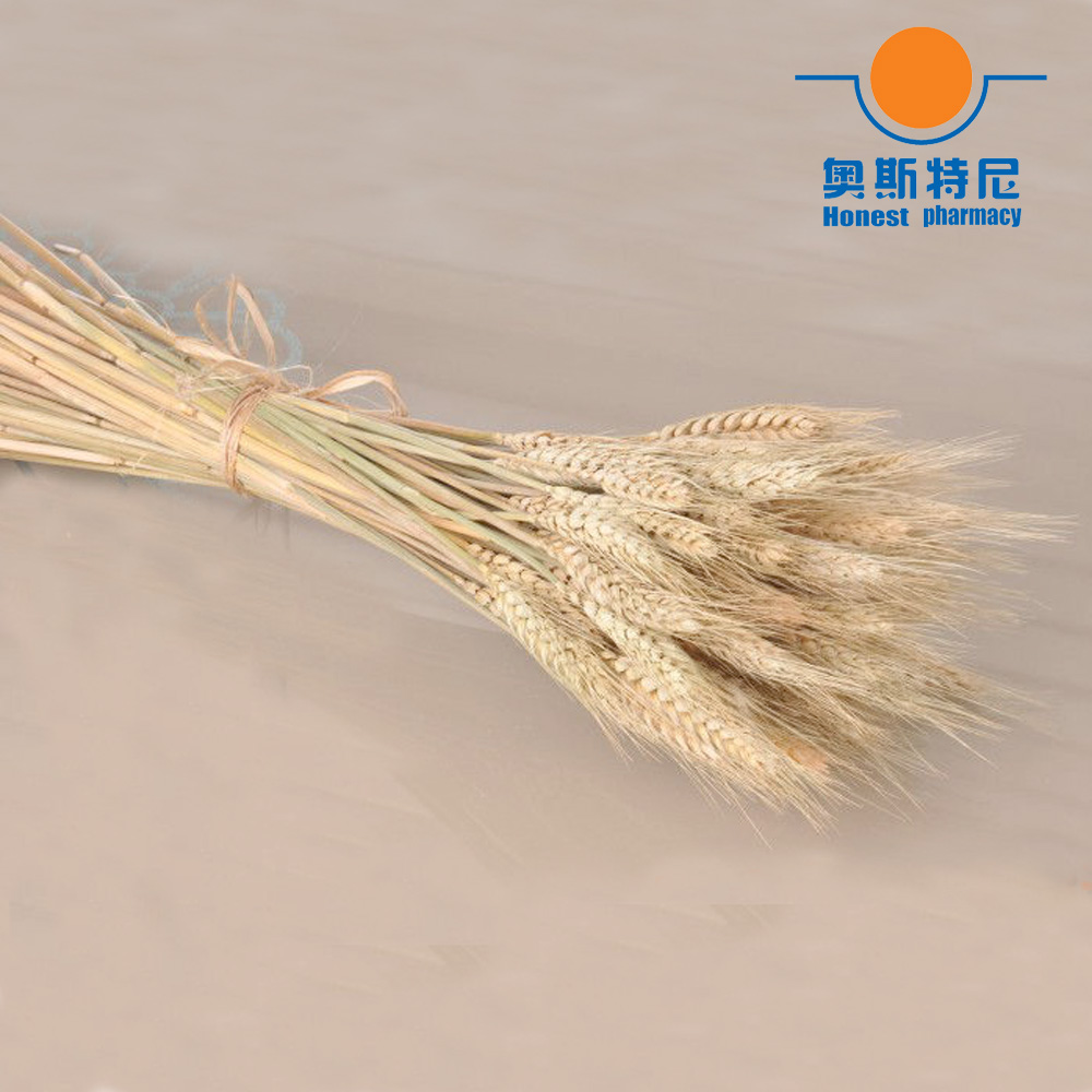 50pcs natural dried flower bou - Dried Flower Bunch のレビューと価格