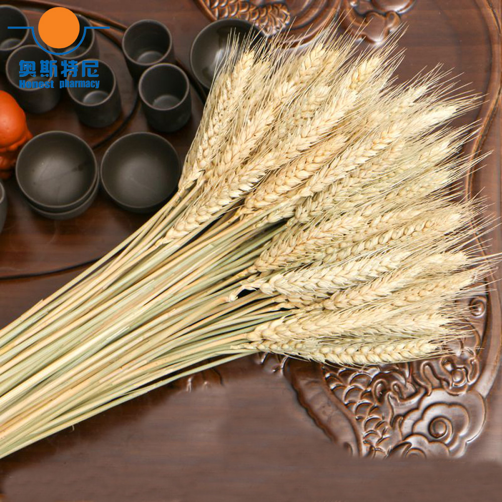 50pcs natural dried flower bou - Dried Flower Bunch のレビューと価格