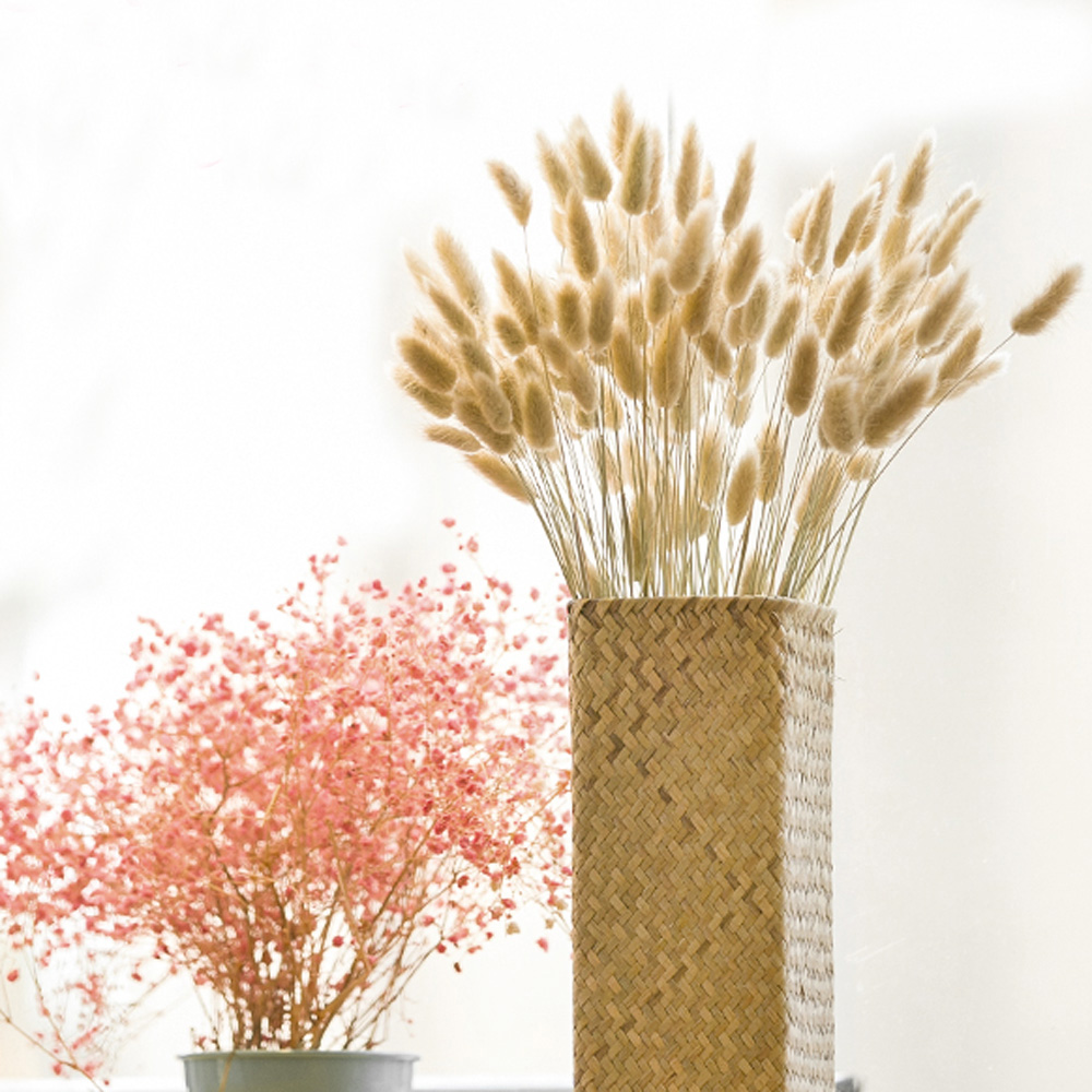200pcs natural dried Lagurus o - Dried Flower Bunch のレビューと価格