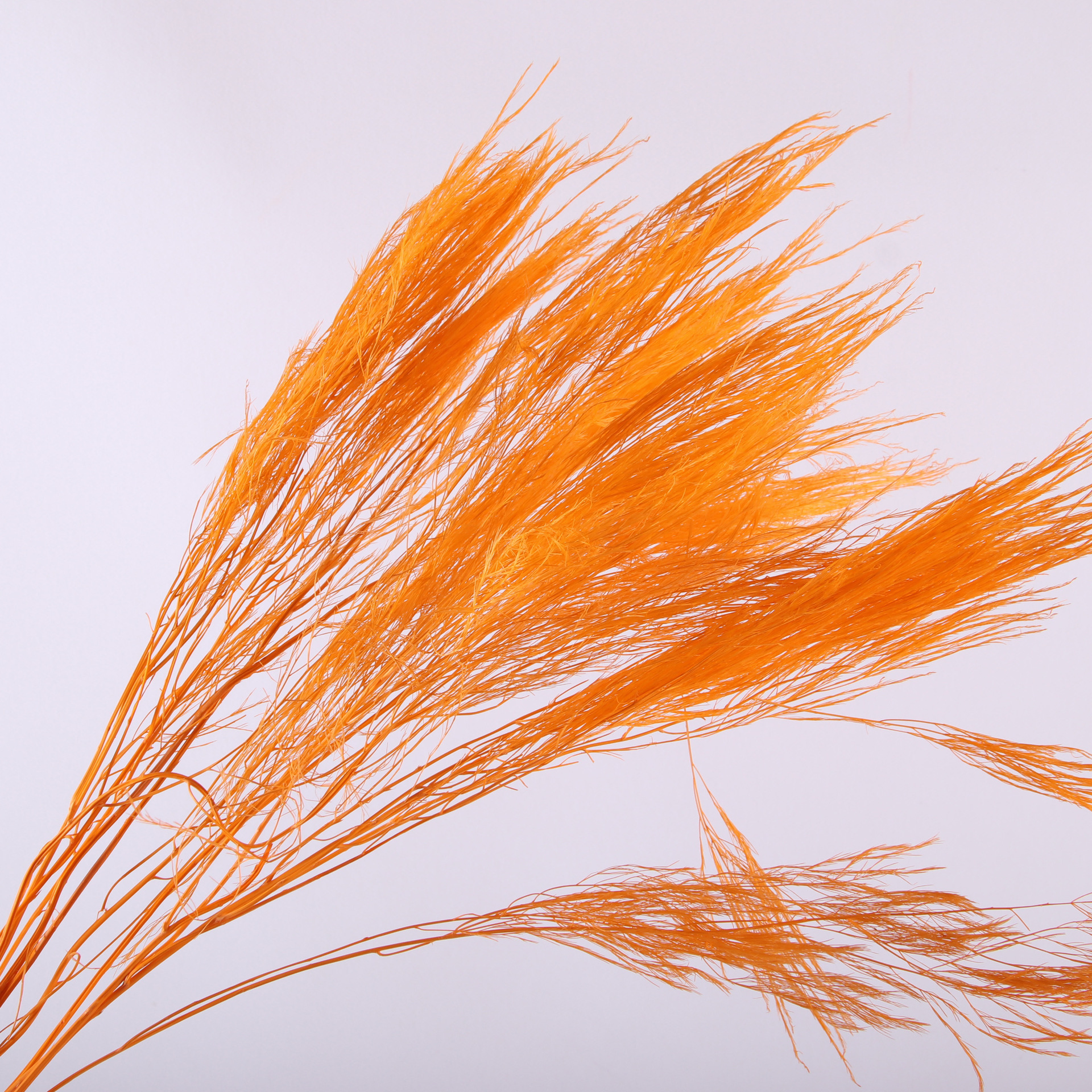 10pcs/bunch Dried Flower Bouqu - Dried Flower Bunch のレビューと価格