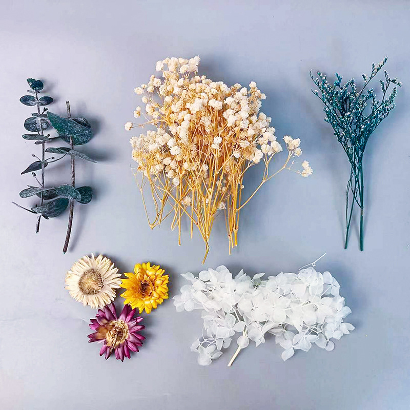 1pack Multifarious Dried Flowe - Dried Flower Bunch のレビューと価格