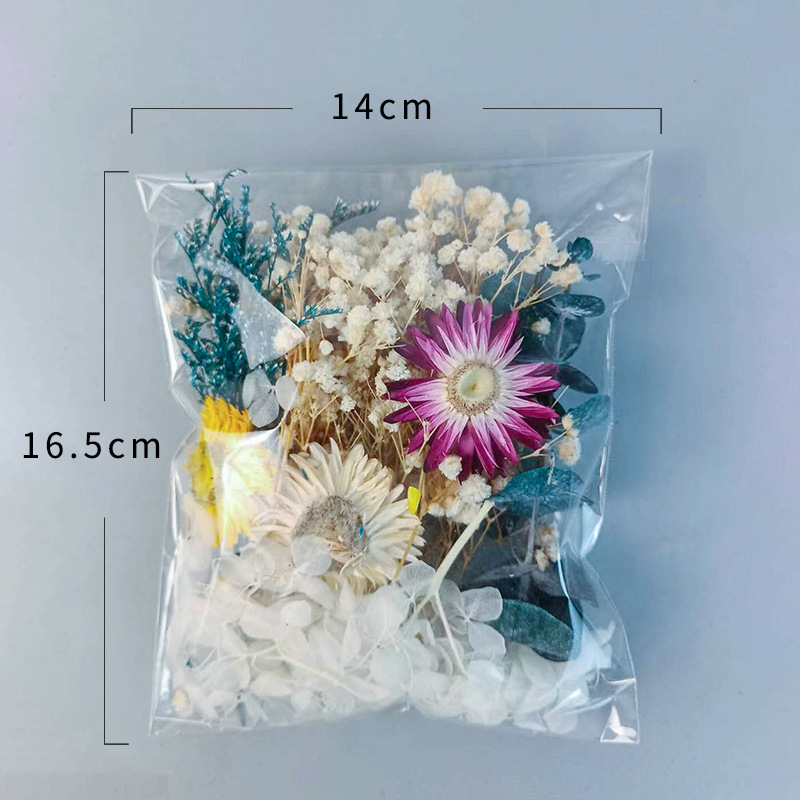 1pack Multifarious Dried Flowe - Dried Flower Bunch のレビューと価格