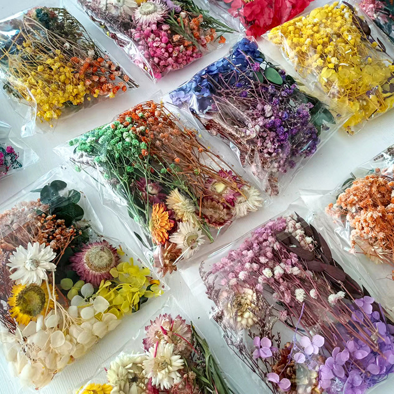 1pack Multifarious Dried Flowe - Dried Flower Bunch のレビューと価格