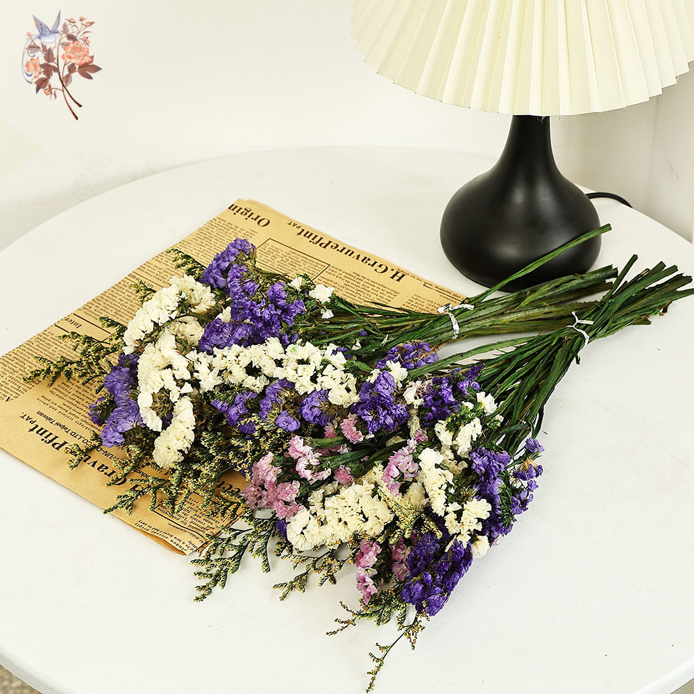 100g Natural Real Forget-me-no - Dried Flower Bunch のレビューと価格