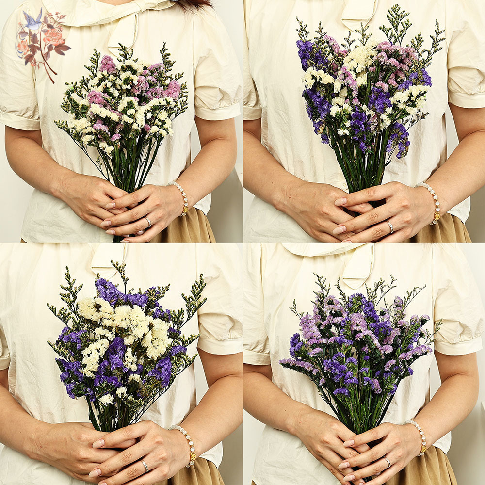 100g Natural Real Forget-me-no - Dried Flower Bunch のレビューと価格